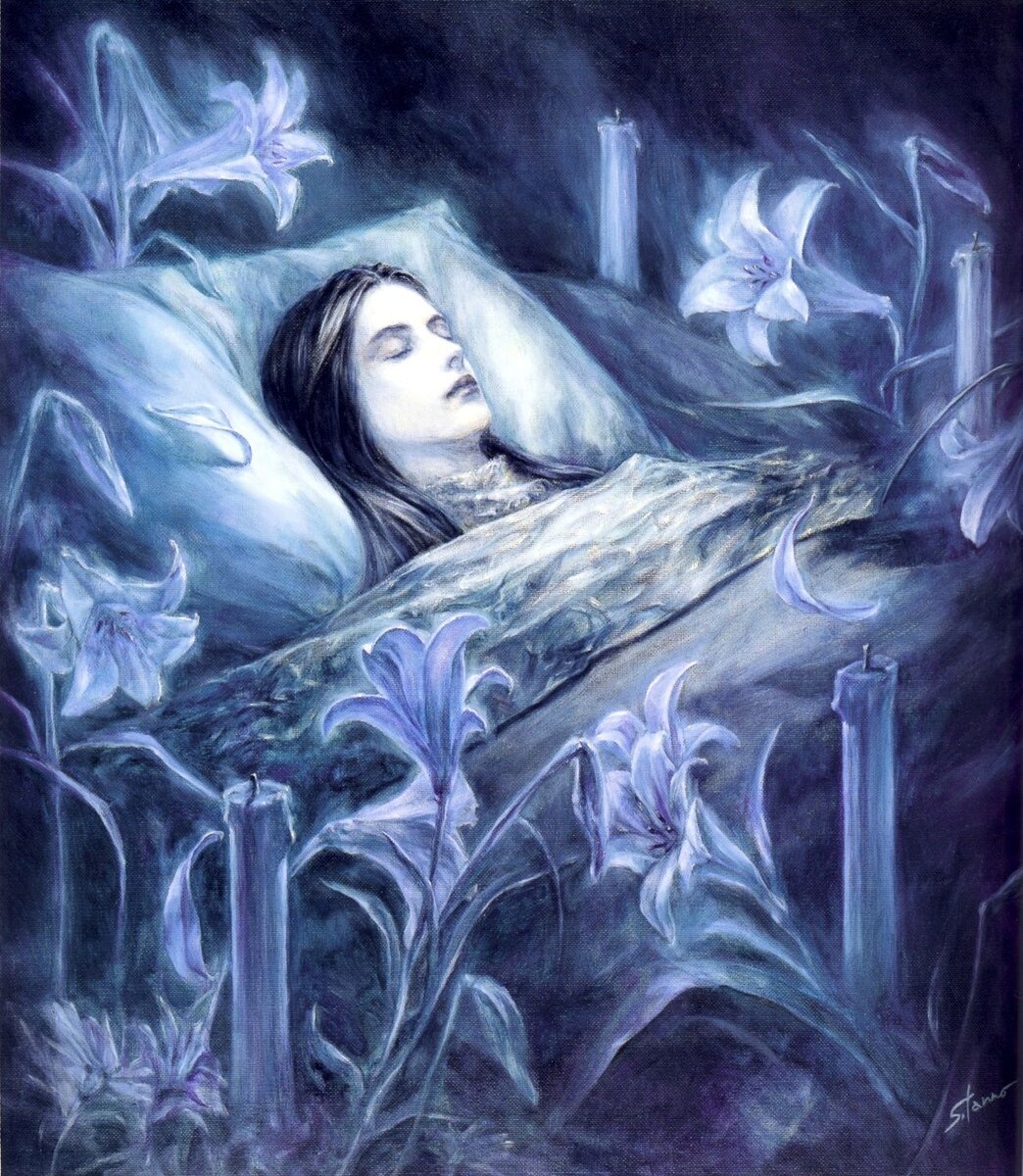 Фото взято из интернета 