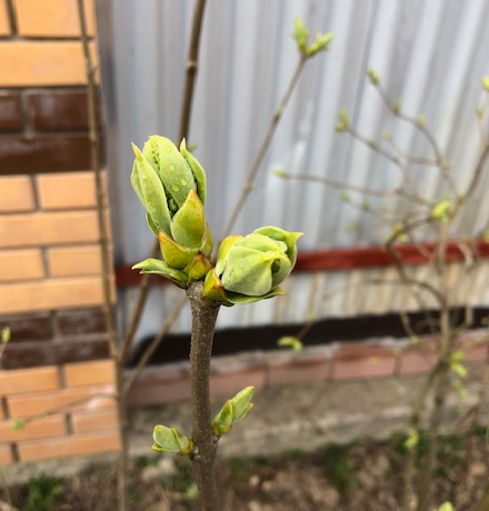 личное