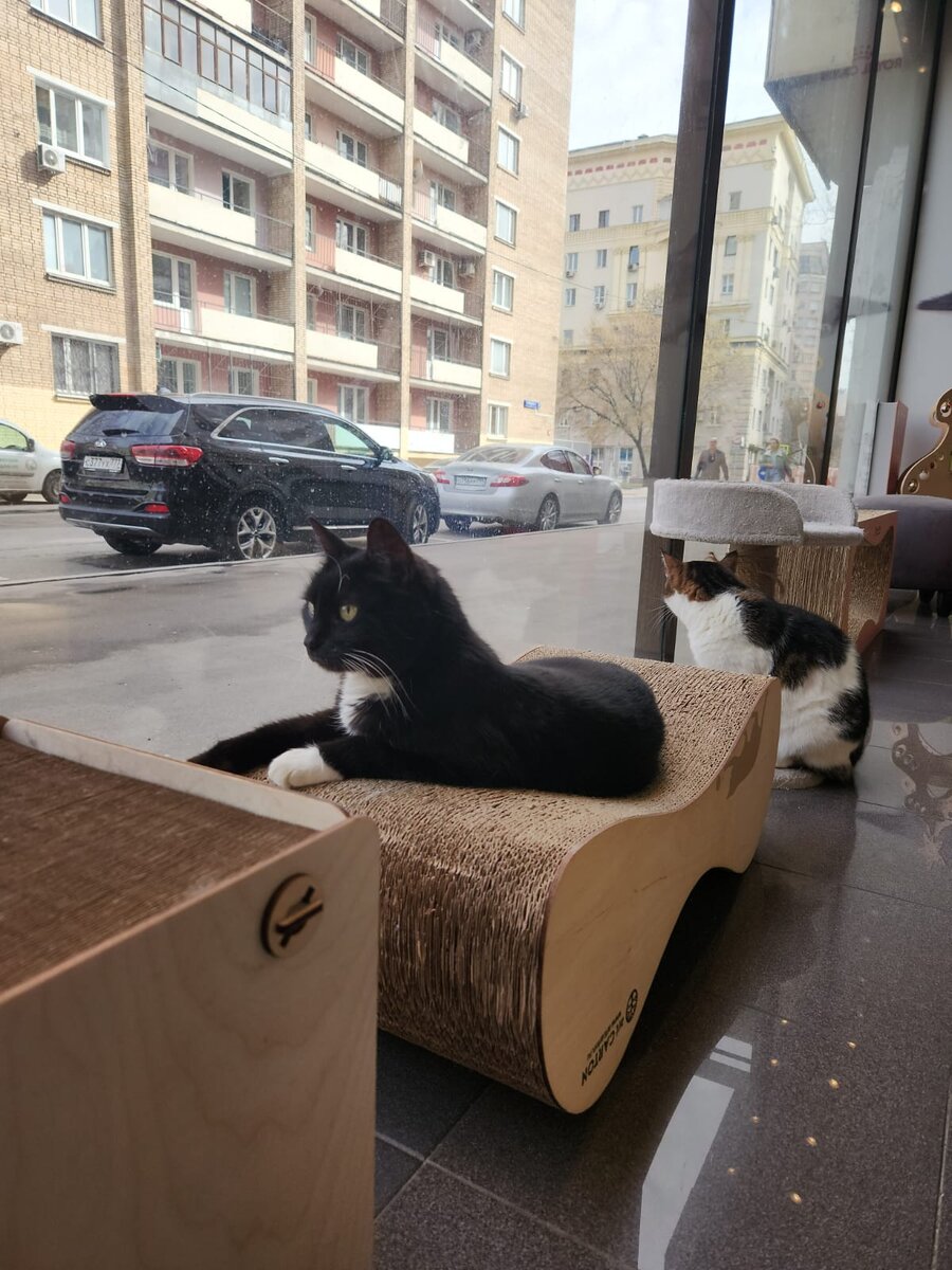 Фото автора.