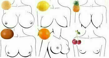 Добавьте описание