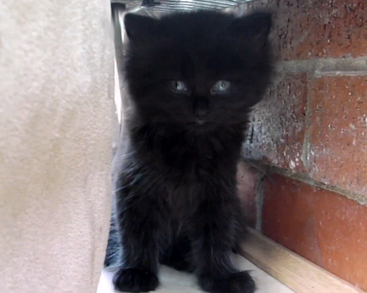 Эя в детстве