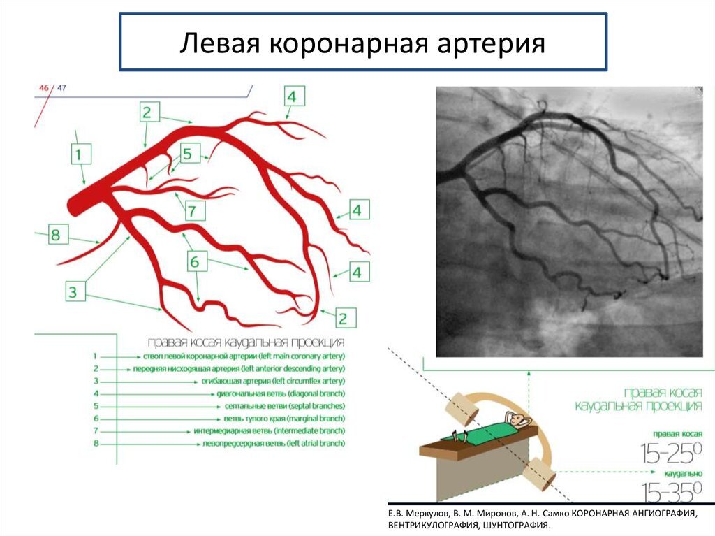 Цифрой 7 на схеме обозначен город ништадт