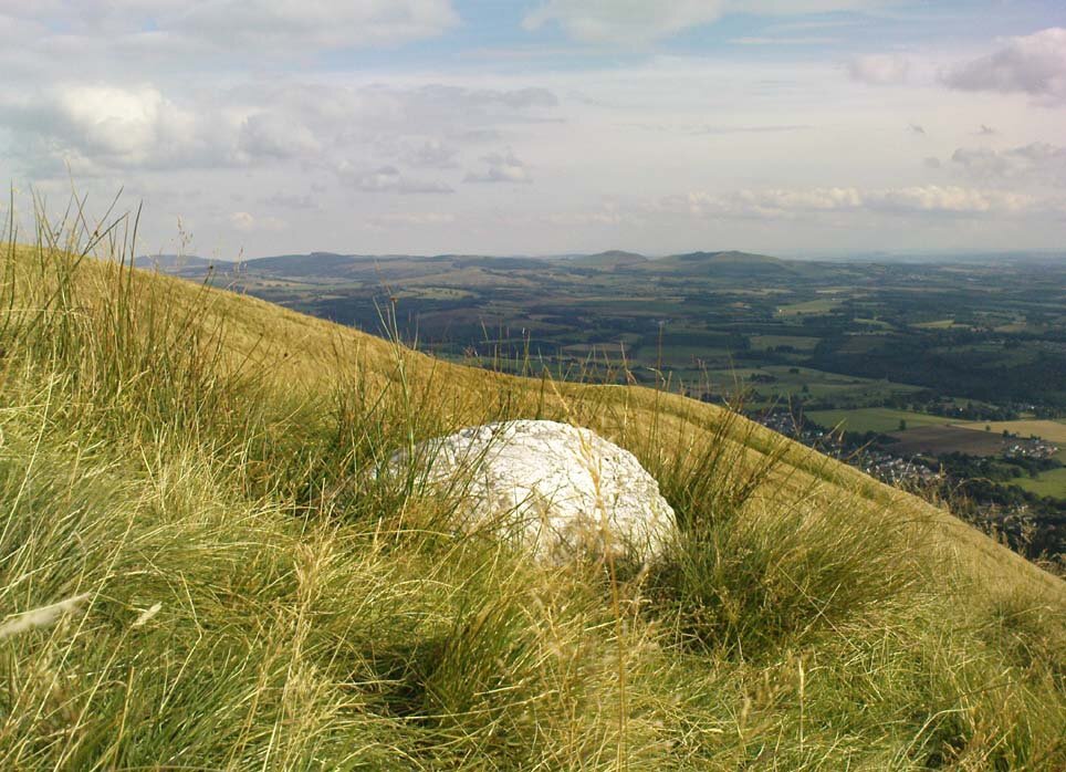 Источник : Яндекс  картинки.