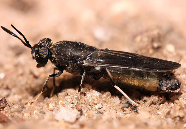 Фото: exxpress.at