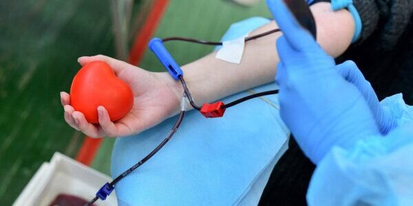    Фото Ю. Иванко. mos.ru