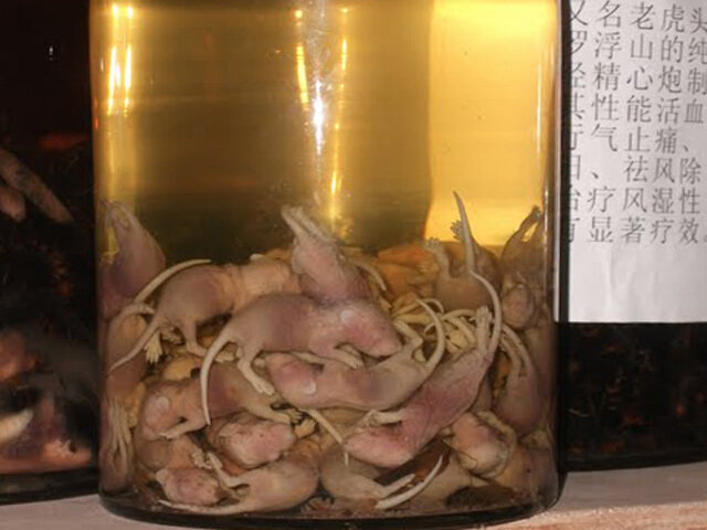 Рисовая водка, настоянная на мышатах.