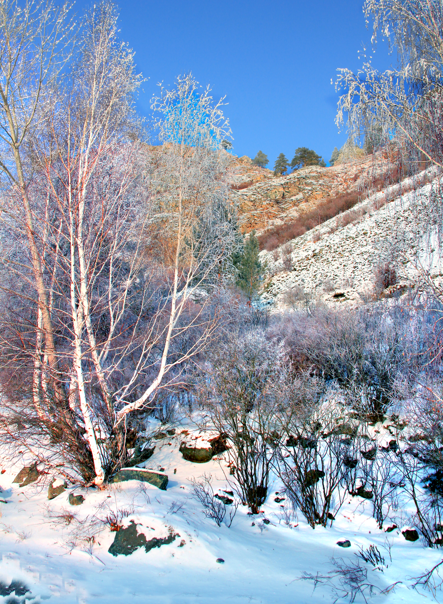 Фотография, стихотворение Василия Глуцкого