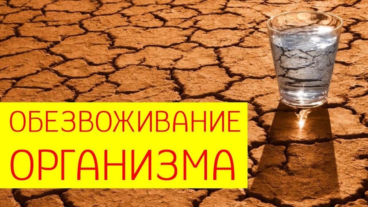 Не забывайте пить воду!