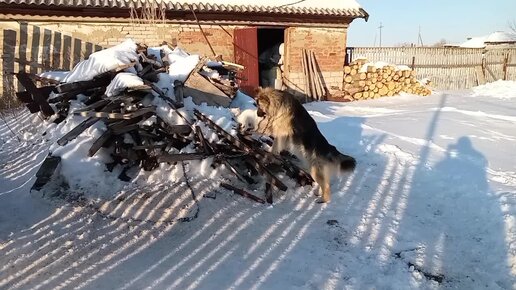 Что делаешь сено кошу и у монитора складываю