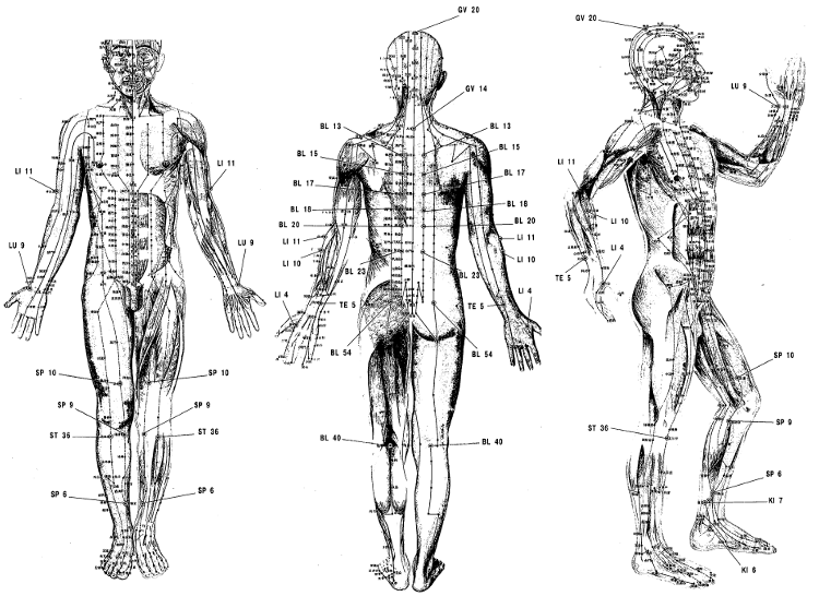 Акупунктурный меридиан. Меридианы и точки акупунктуры. Акупунктура меридианы китайская медицина. Акупунктурные точки при псориазе. Акупунктура биологически активные точки.