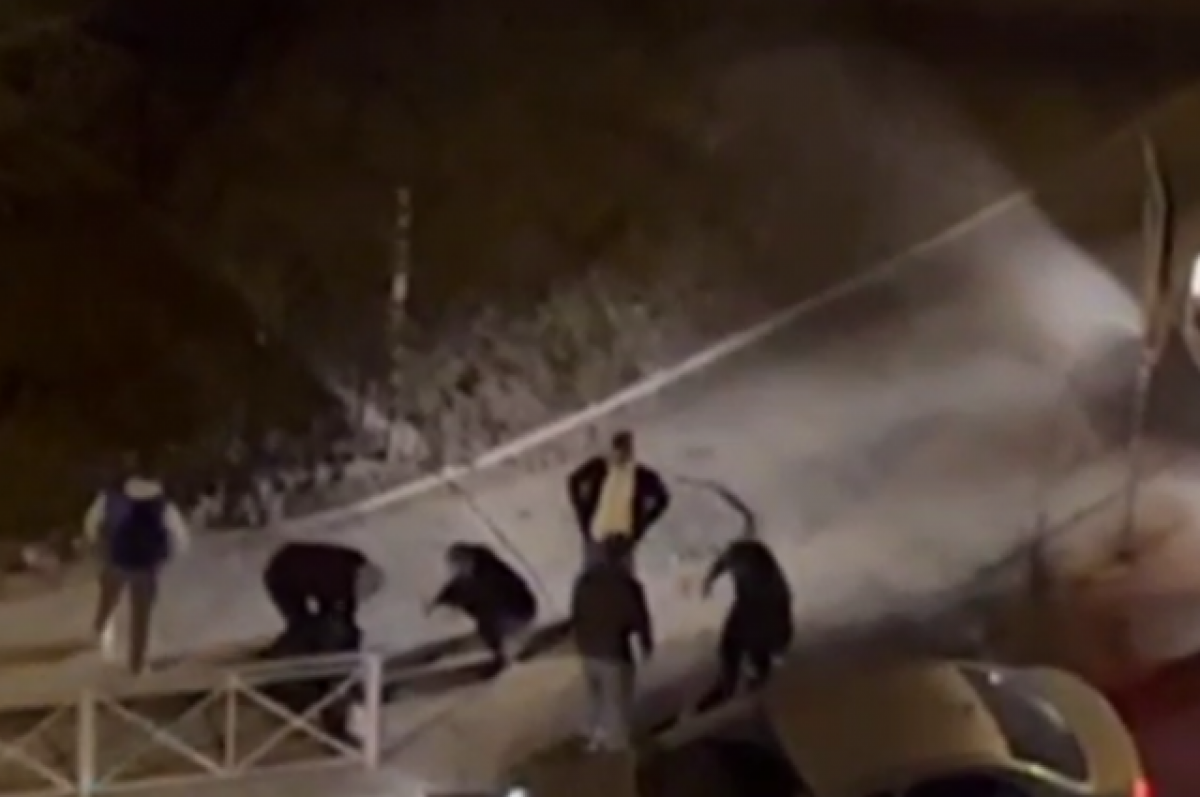    В Новосибирске неадекватный мужчина кричал на улице Перевозчикова