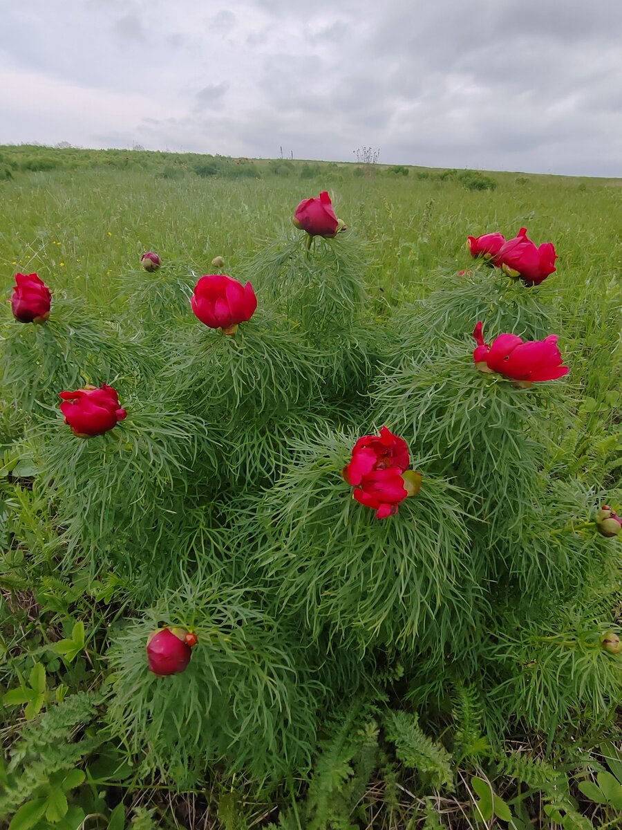 Фото Юлии Перовой