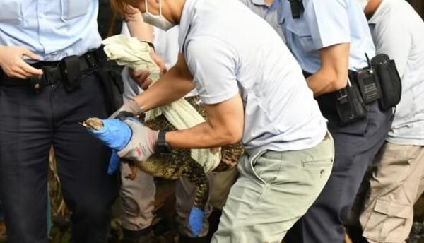 Источник фото: scmp.com