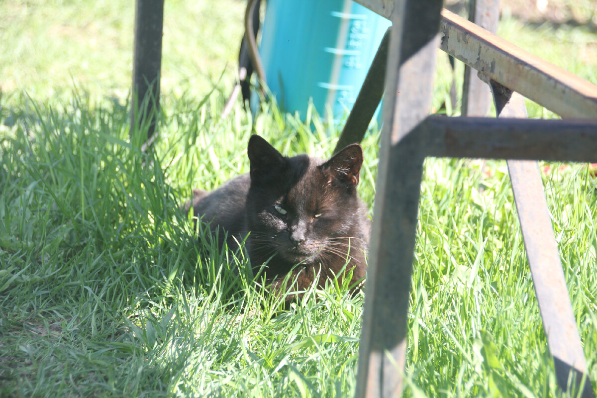 Точно!