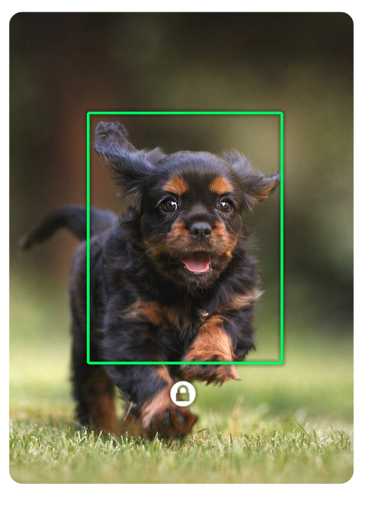 Режим слежения - гимбал поворачивает смартфон, удерживая объект в центре кадра