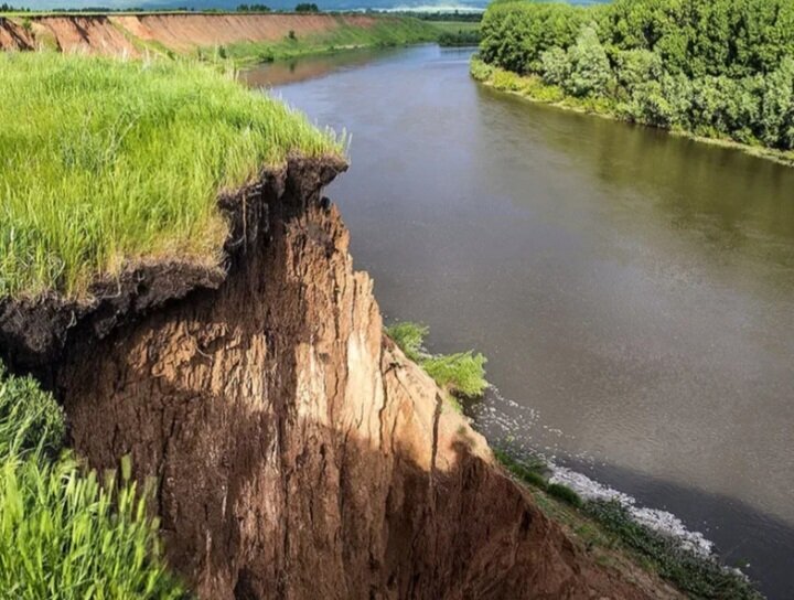 Из открытого доступа 