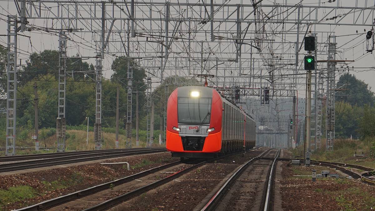    Фото: Анатолий Цымбалюк / Вечерняя Москва