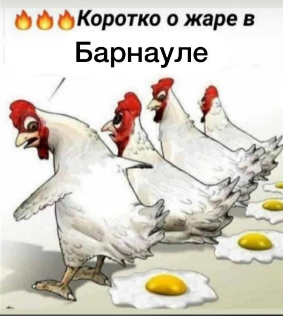 Учиться никогда не поздно