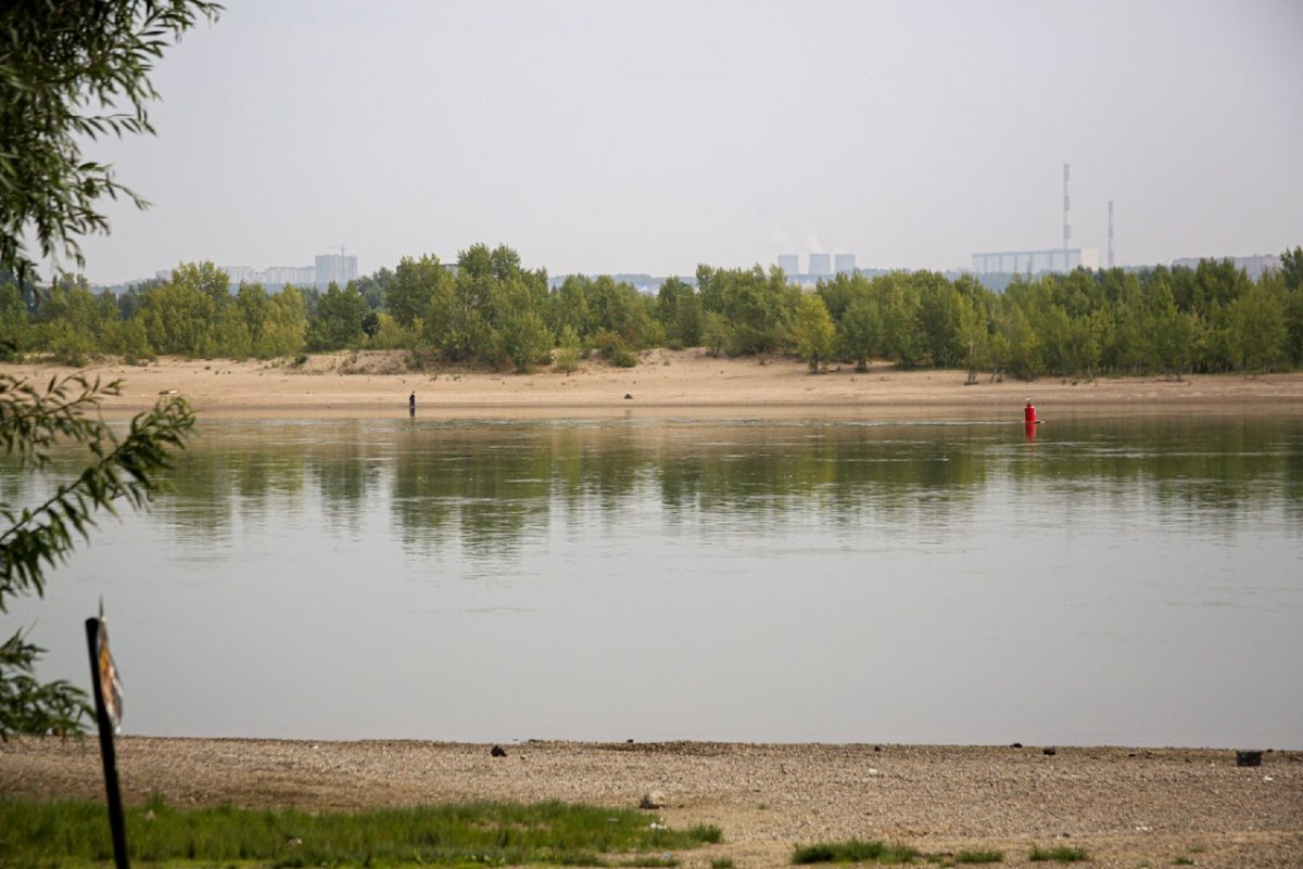    Состояние воды в Оби в Новосибирске ухудшилось до очень грязного