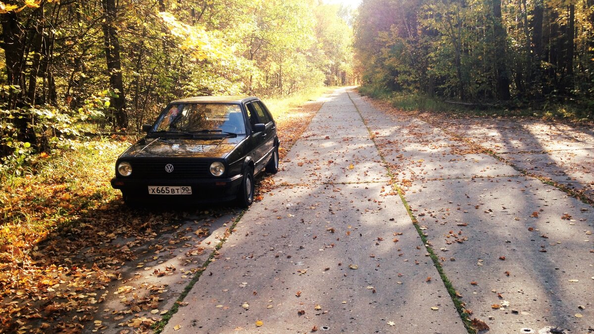 Таким я его встретил и забрал и далее нас ждало очень много приключений.