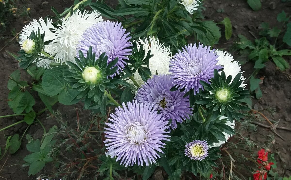 Из личного архива автора канала