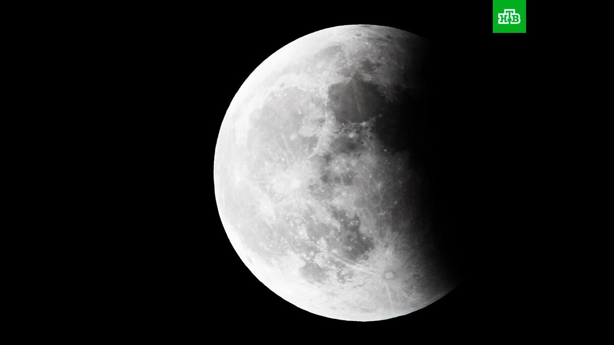    Фото: РИА Новости © 2023, Виталий Аньков