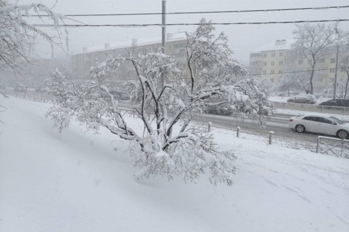    Снегопады в Заполярье продолжатся