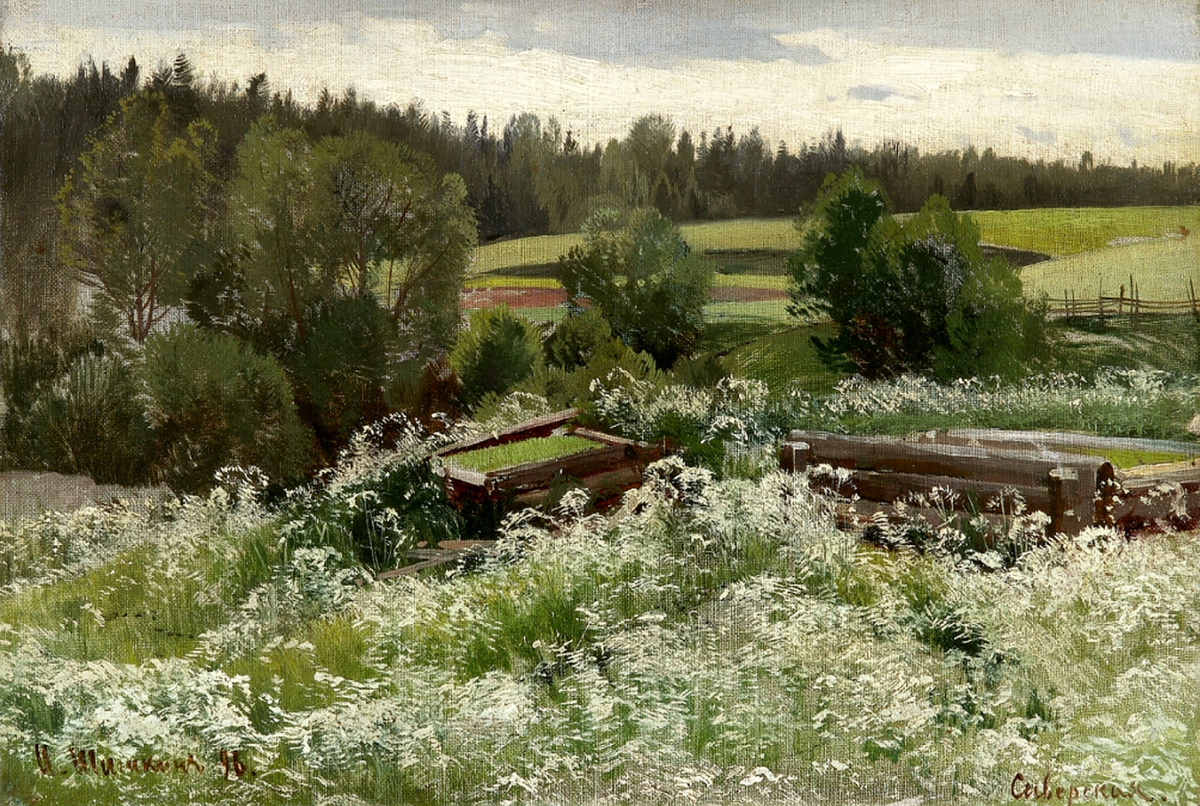 Шишкин И.И., «В Сиверской», 1896, холст, масло, Челябинский музей изобразительных искусств
