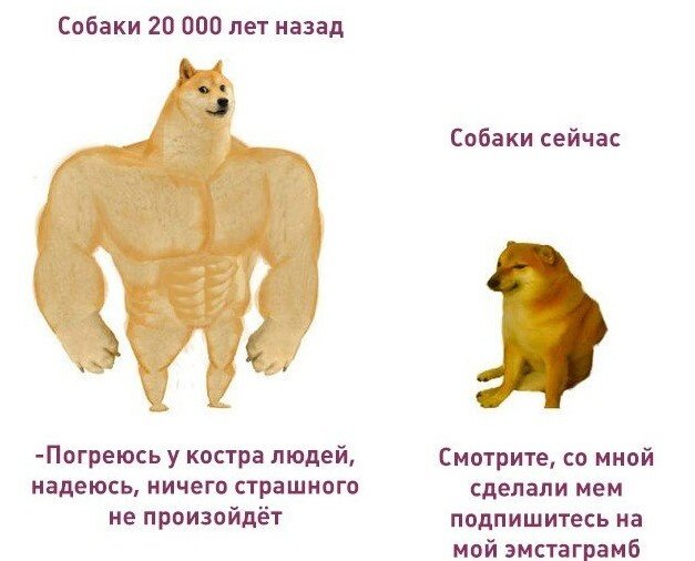 Мем с большой и маленькой собакой шаблон