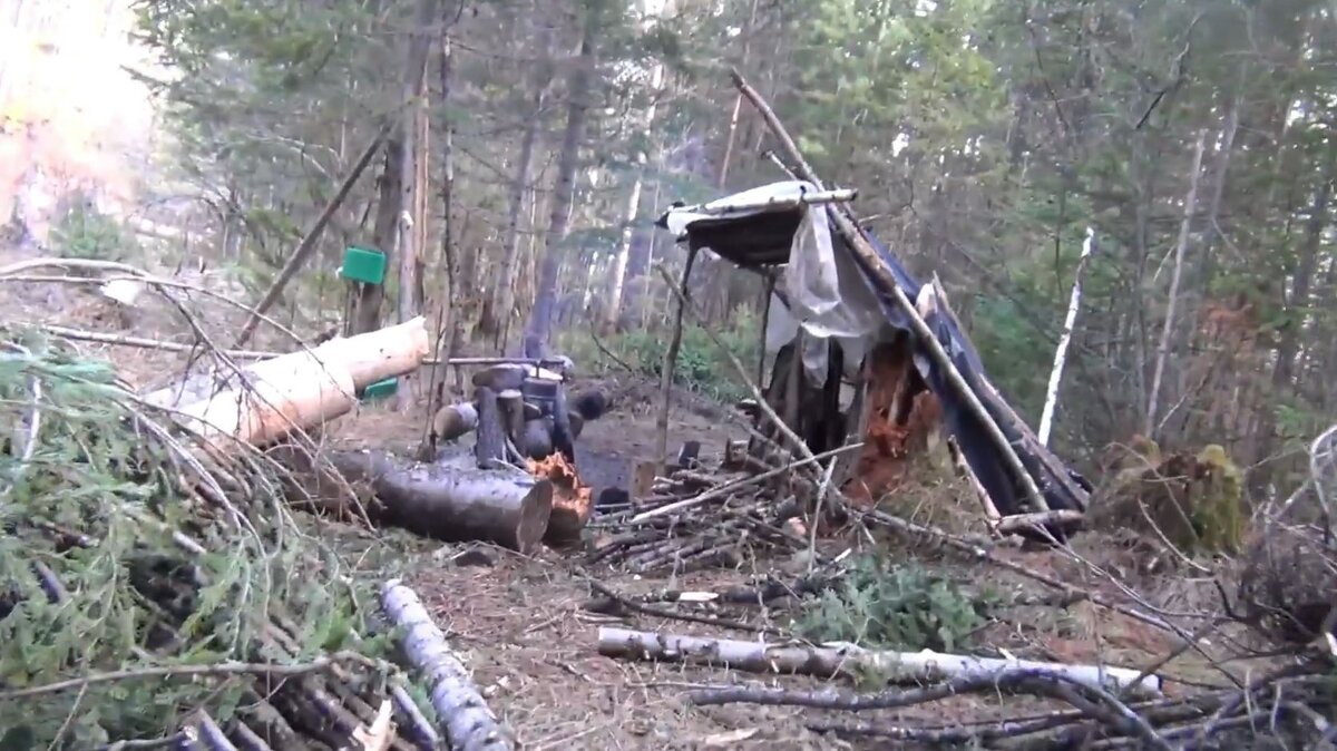 так выглядит наш шалаш в девственной тайге смотрите на видео в конце статьи
