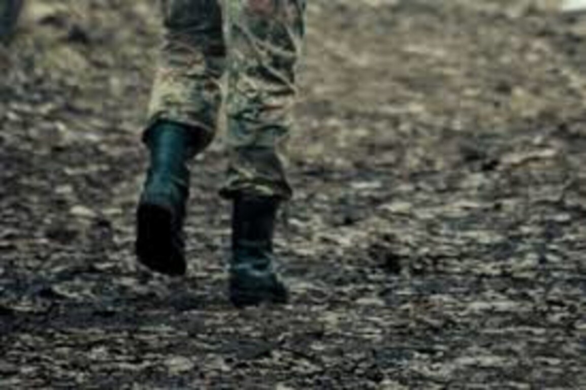 Фото из интернета