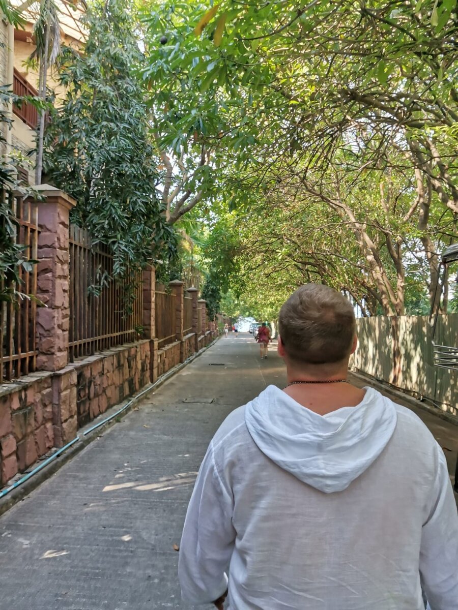 Тенистая дорога к морю.