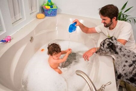 Картинка из инета 