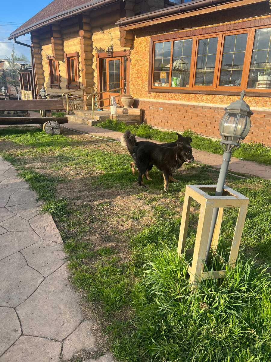 Братик и сестренка: чудесные Мася и Арчи!)