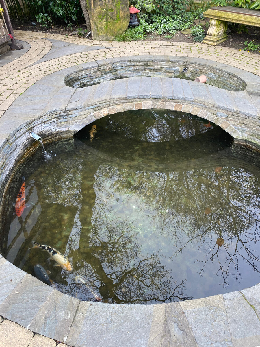 Говорят, вода успокаивает и помогает поймать Дзен 😅