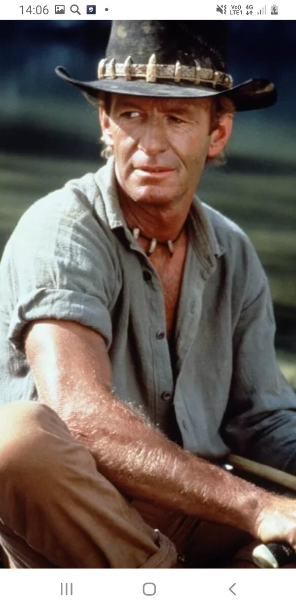 фото из интернета.