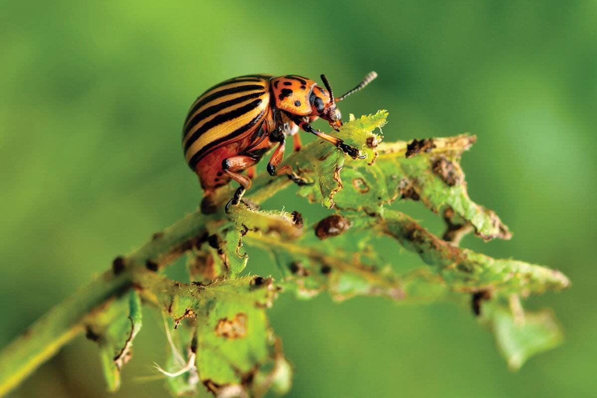 фото из интернета