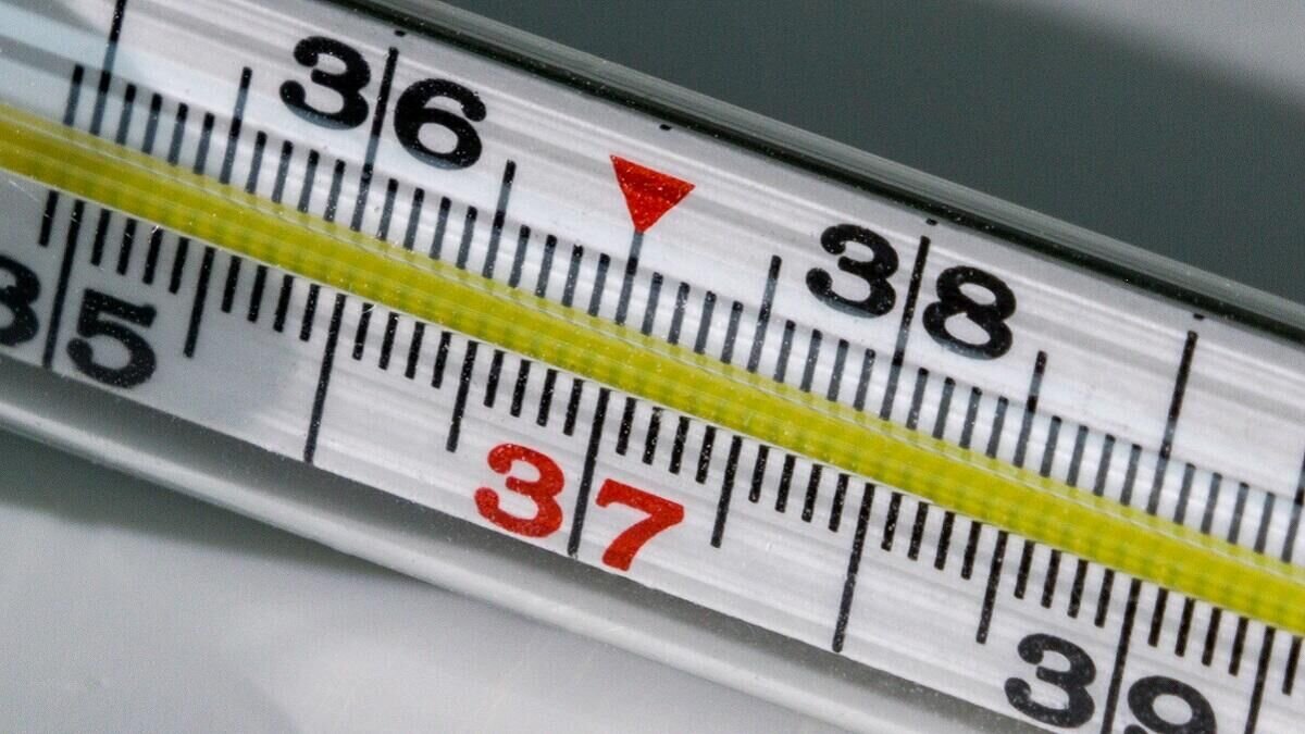    Градусник© Globallookpress Aleksander Polyakov