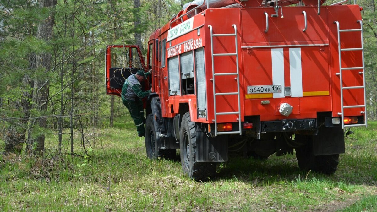     В Татарстане во время действия особого противопожарного режима случилось 286 случаев загорания травы и мусора. Это на 31,1% меньше, чем за аналогичный период 2022 года, сообщили в пресс-службе ГУ МЧС России по РТ.