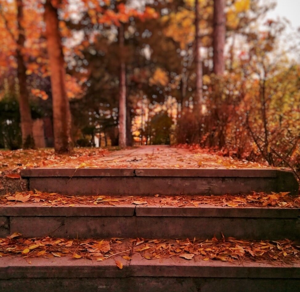 Путь длинною в 1000 миль начинается с первого шага.