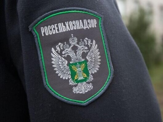    // Фото с сайта ria.city