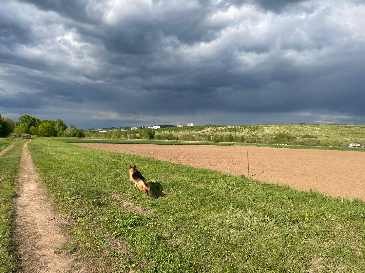 Вот так , ветер в ушах , полный вперед 
