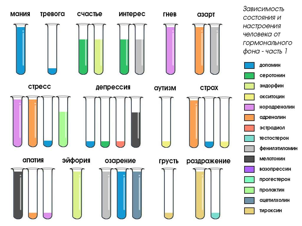 какие гормоны вырабатываются во время оргазма | Дзен