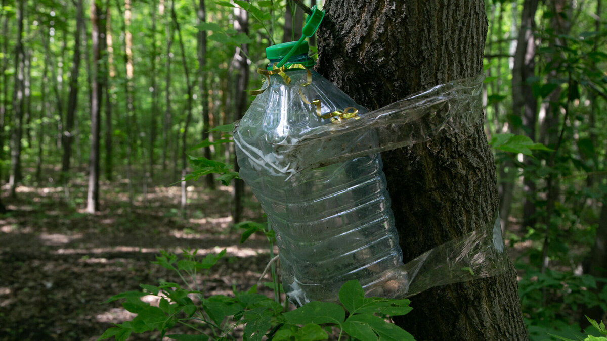     К переполненным контейнерам «добавились» гостевые дома: владельцы считают, что им навязывают дополнительные услуги.