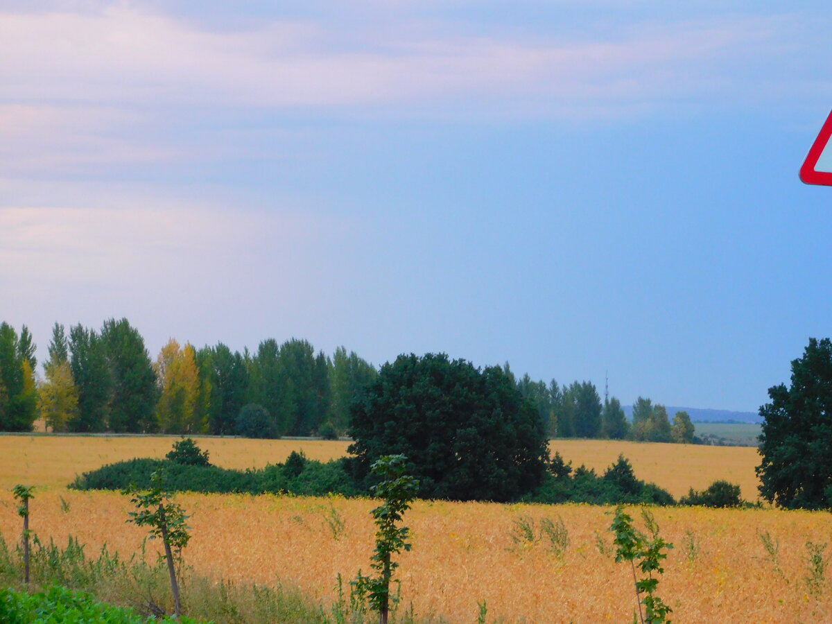Фото автора канала