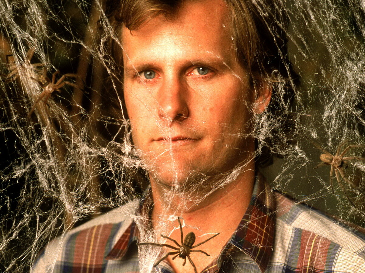 Боязнь пауков. Боязнь пауков фильм 1990. Арахнофобия фильм. Jeff Daniels Arachnophobia.