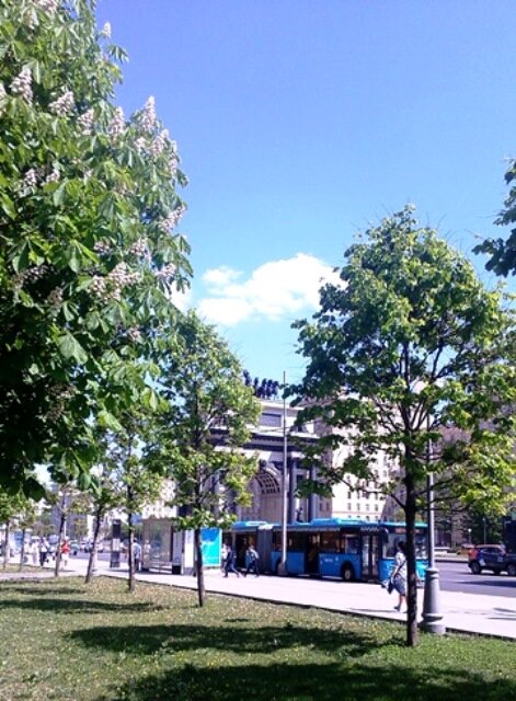 Авторское фото Татьяны Федотовой