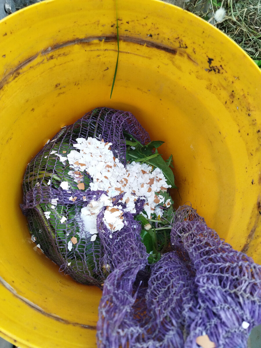 В прошлом году такая сетка очень понравилась - процеживать не надо.