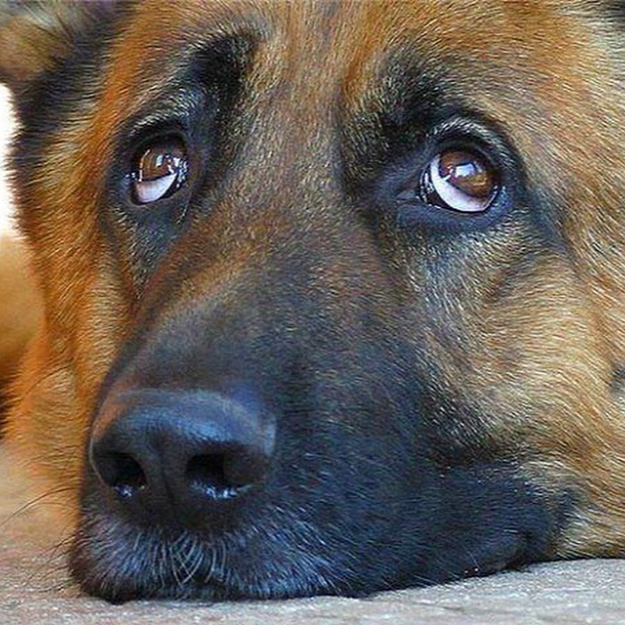 Фото из интернета 