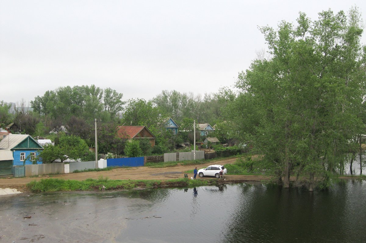    Достаточных по заполняемости поймы и проточности половодий на Волге специалисты не припомнят вот уже около 20 лет.